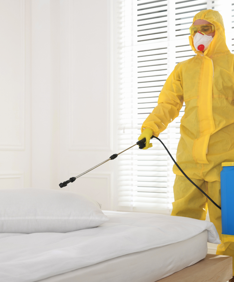 Professional Pest Control Team in Globe Derby Park